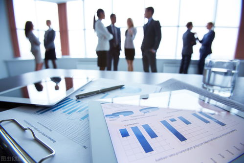 信息化浪潮下的企業(yè)信息化管理 概念、內(nèi)涵與技術(shù)咨詢的橋梁作用